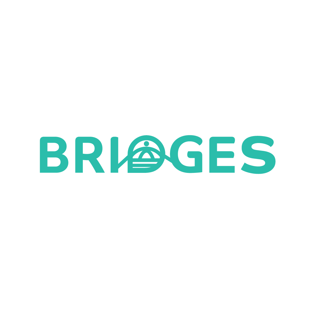 bridges for ocean logo