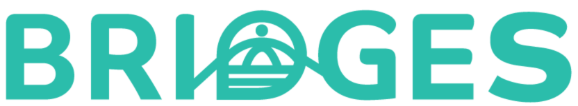 bridges for ocean logo